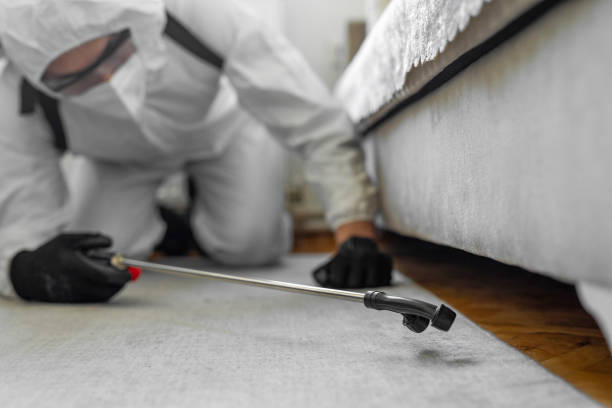 Professional Bed Bug Control technician working in Port Washington, NY