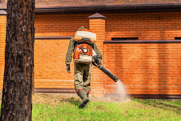 Trusted Bed Bug Control service in Port Washington, NY - Nex Pest Control